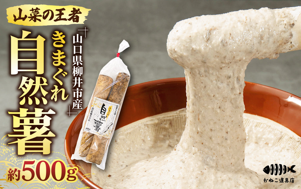 天然自然薯　(折れ)　1・5kg 宮城県大崎市産 自然薯1.5kg: タウンショップみやぎ|【JAタウン