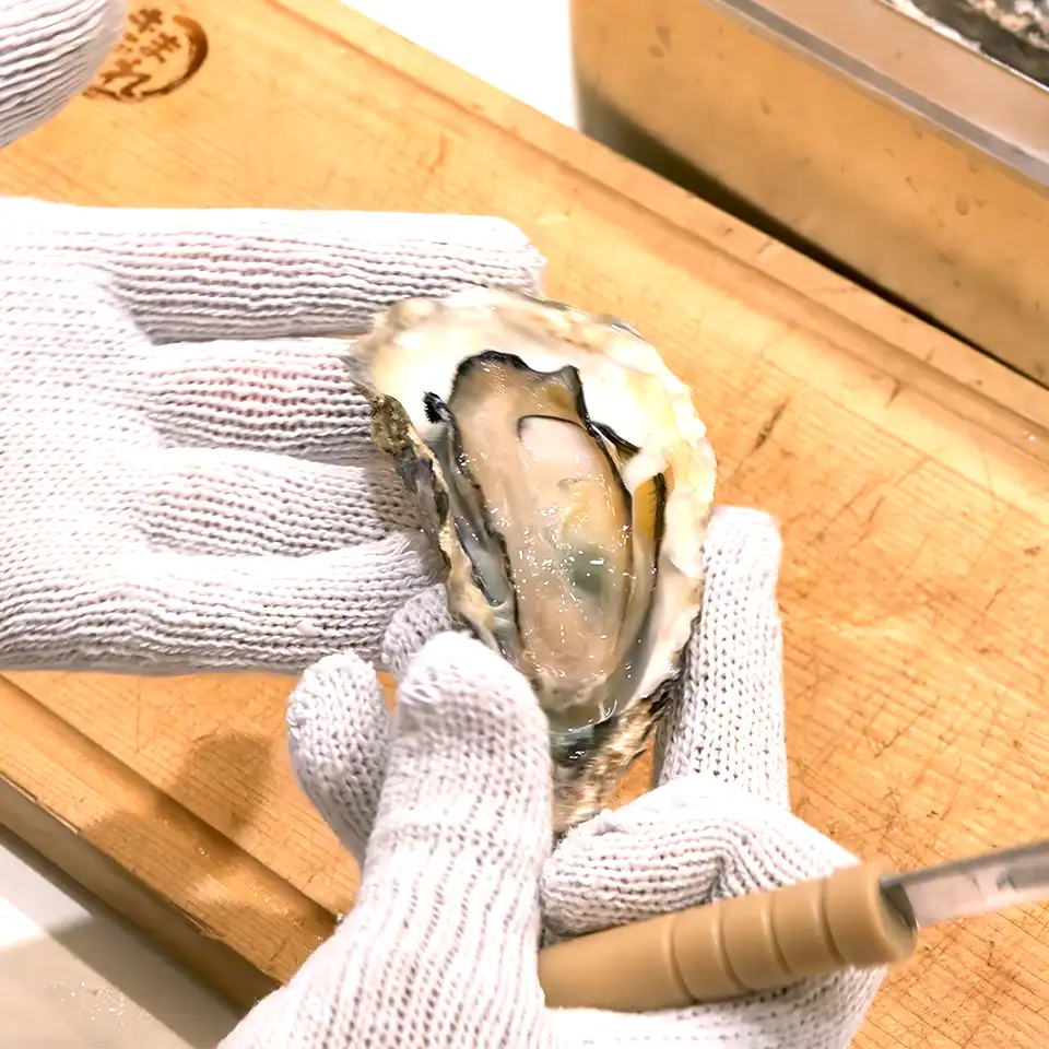 【広島県産】“ちょい食べ”ガンガン焼きセット(牡蠣1.5kg)