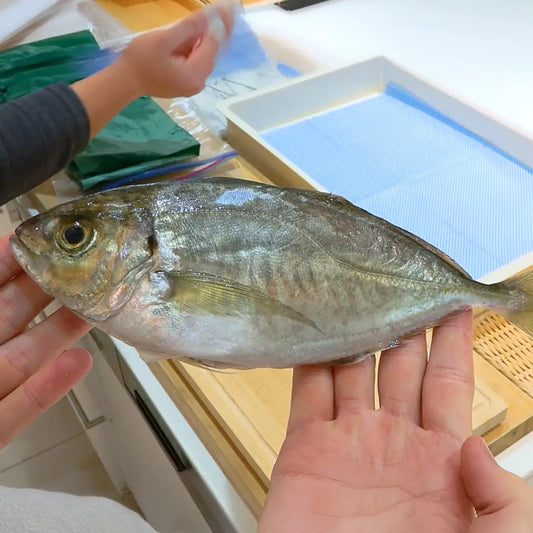 夢あじ 約180g前後×3尾入り