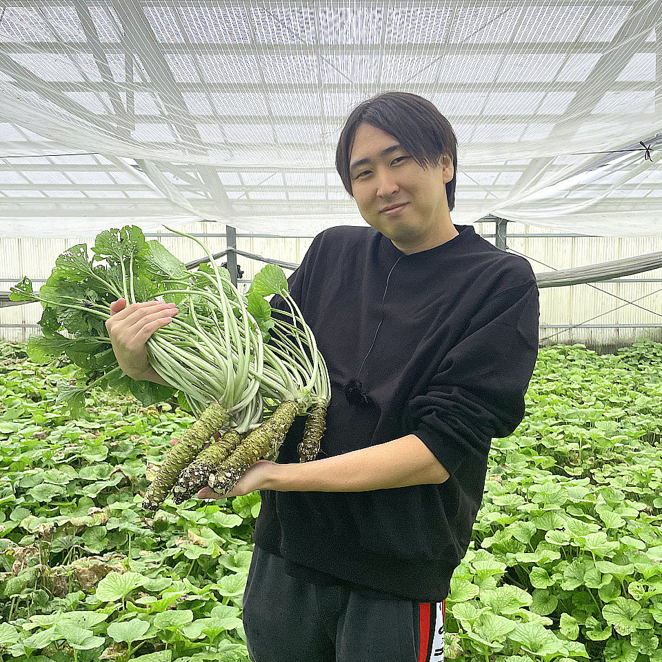 【安曇野産】本わさび芋(1本)+おろし金 「きまぐれなみだ」セット