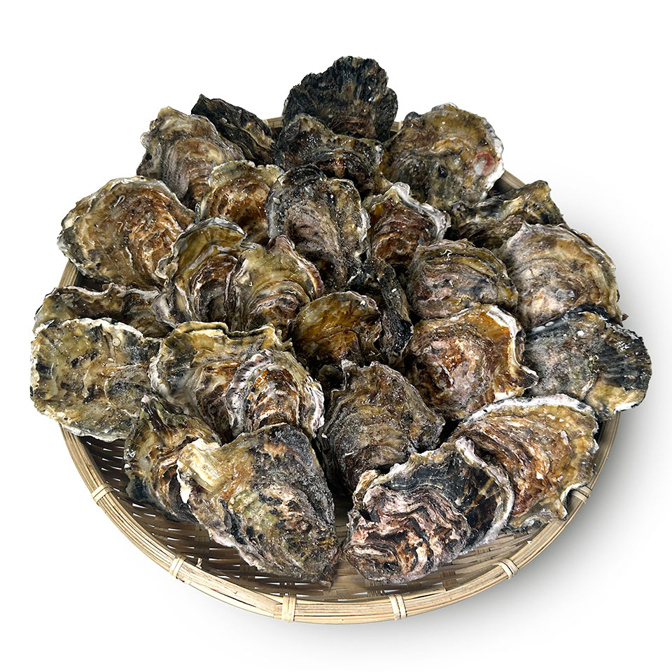【広島県産】ガンガン焼き 冷凍牡蠣 2kg(軍手・ナイフ付)