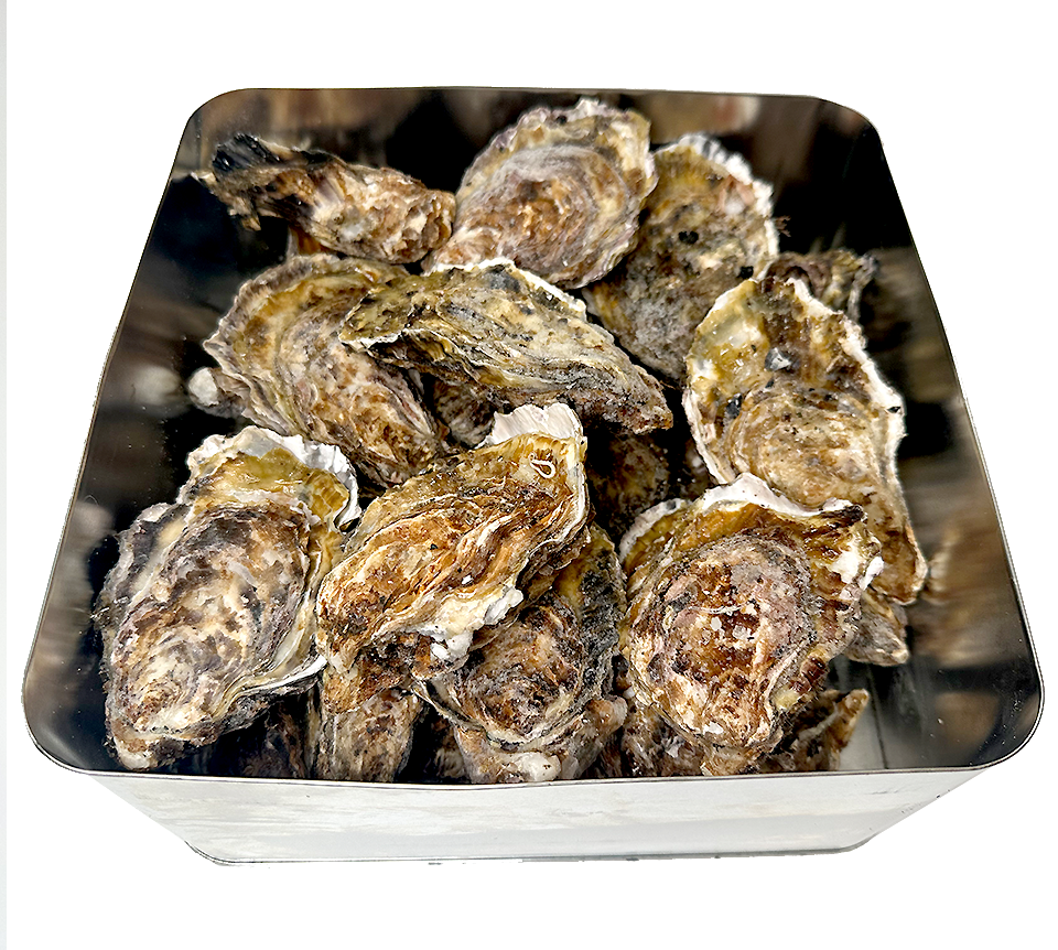 【広島県産】ガンガン焼き 冷凍牡蠣 2kg(軍手・ナイフ付)