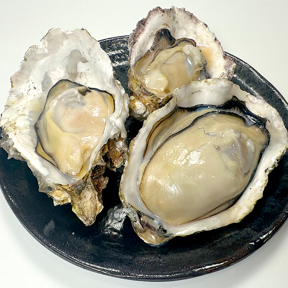 【広島県産】ガンガン焼き 冷凍牡蠣 2kg(軍手・ナイフ付)