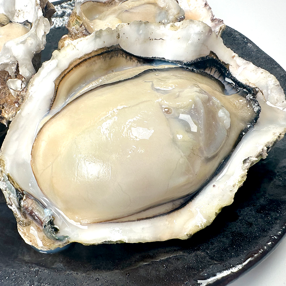 【広島県産】ガンガン焼き 冷凍牡蠣 2kg(軍手・ナイフ付)