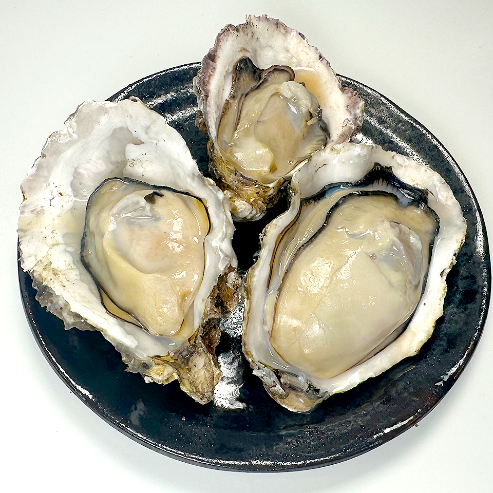 【広島県産】ガンガン焼き 冷凍牡蠣 2kg(軍手・ナイフ付)