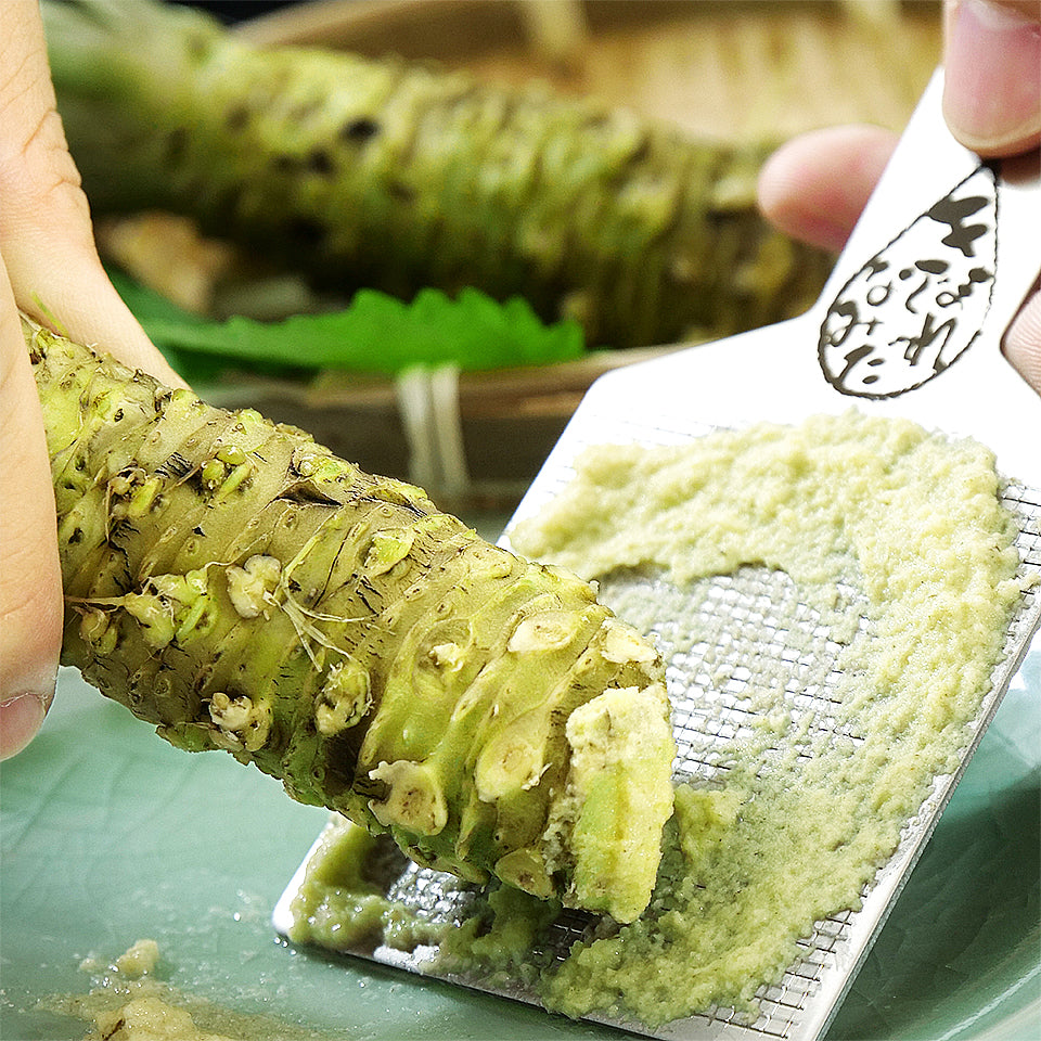 【安曇野産】本わさび芋(1本)+おろし金 「きまぐれなみだ」セット