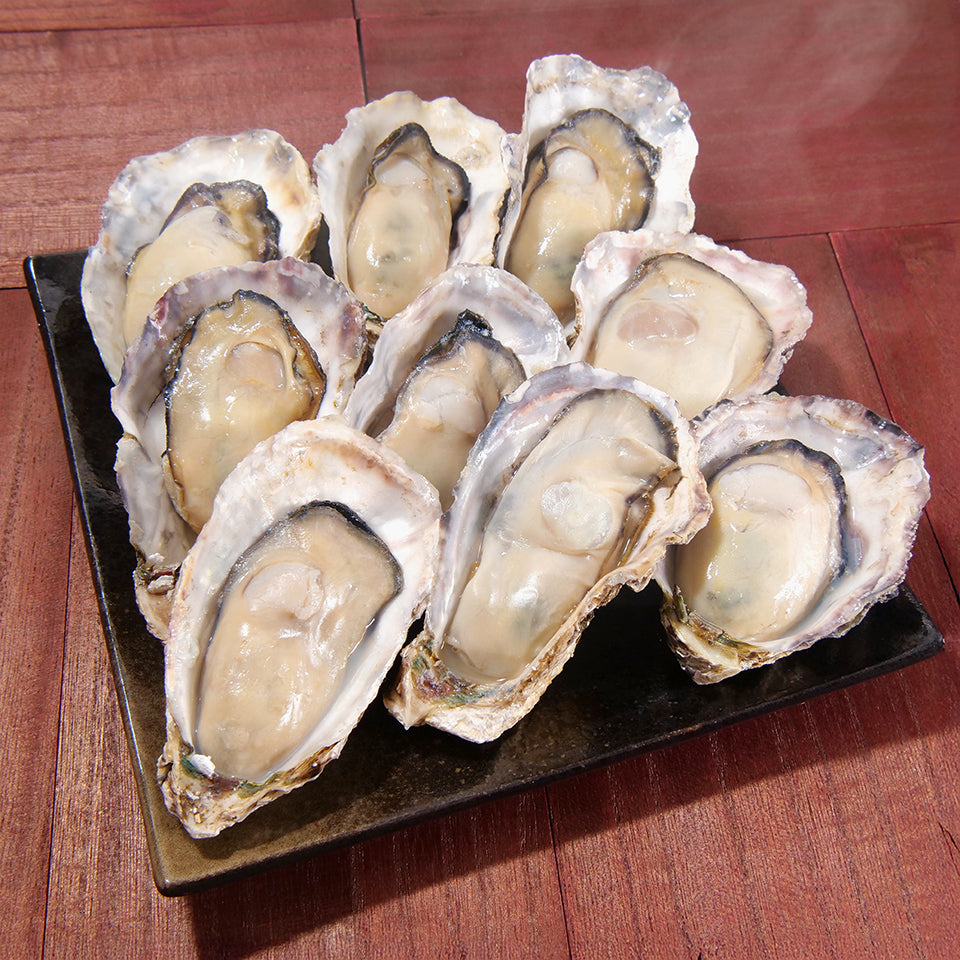 【広島県産】“ちょい食べ”ガンガン焼きセット(牡蠣1.5kg)