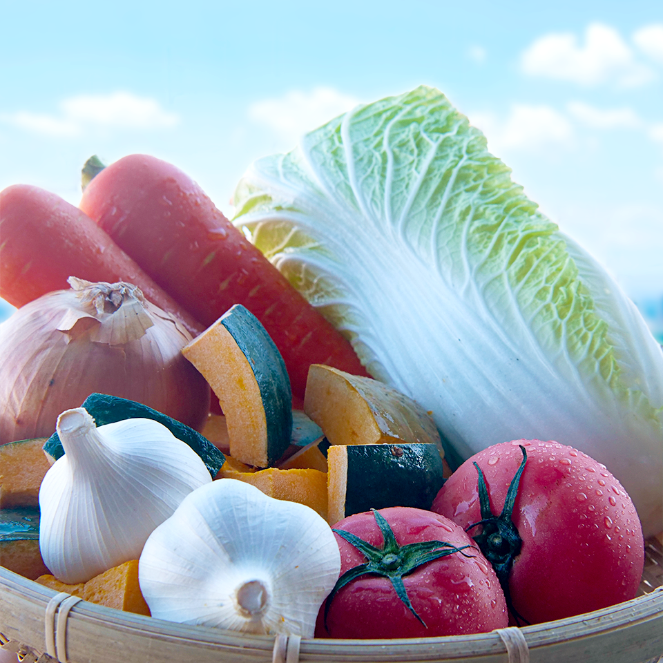 出汁の里(30包入り)