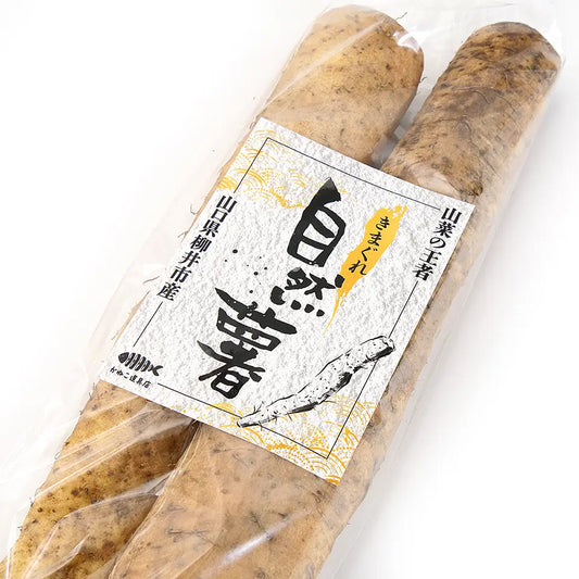 【山口県柳井市産】きまぐれ自然薯 約500g