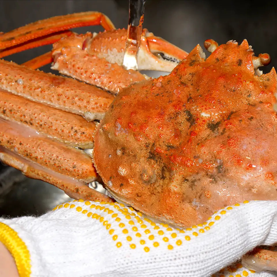 【北海道産】冷凍オオズワイガニ 2kg(8尾)