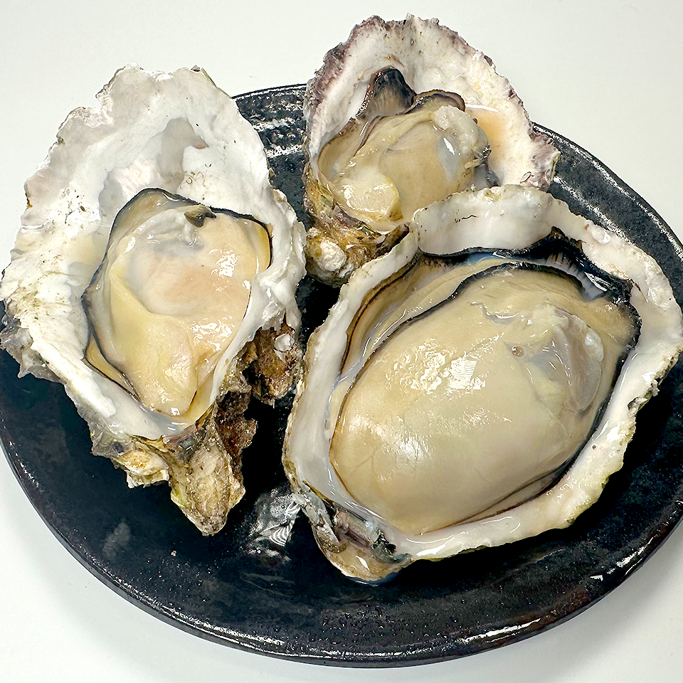 【広島県産】ガンガン焼き 冷凍牡蠣 2kg（軍手・ナイフ付）