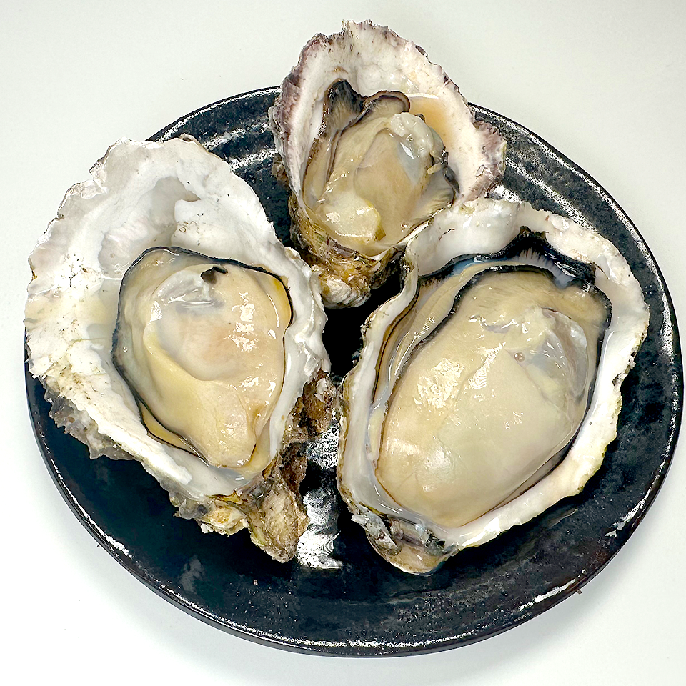 【広島県産】ガンガン焼き 冷凍牡蠣 2kg（軍手・ナイフ付）