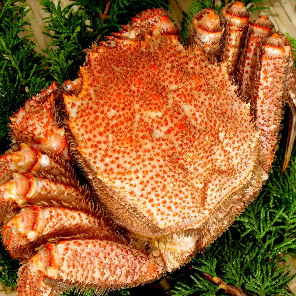 【北海道産】三大ガニ 食べ比べセット（タラバ・オオズワイ・毛蟹）