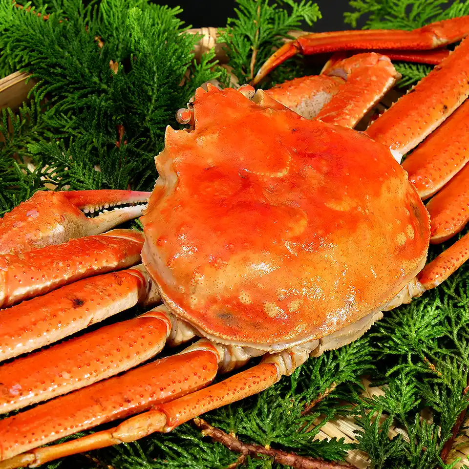 【北海道産】三大ガニ 食べ比べセット（タラバ・オオズワイ・毛蟹）