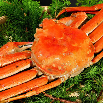 【北海道産】三大ガニ 食べ比べセット（タラバ・オオズワイ・毛蟹）