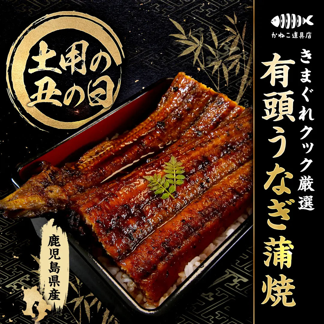 【土用の丑の日】きまぐれクック厳選 有頭うなぎ蒲焼