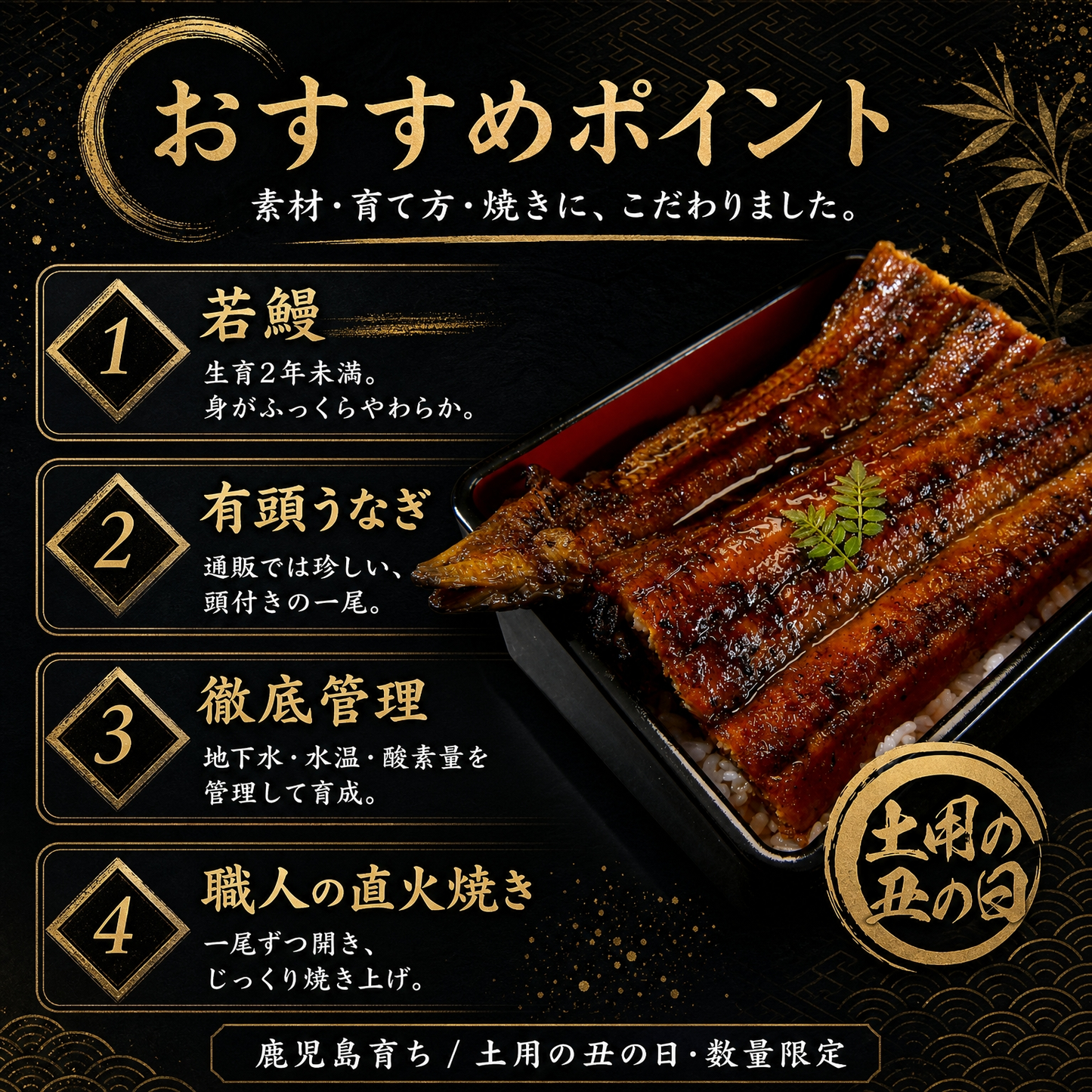 【土用の丑の日】きまぐれクック厳選 有頭うなぎ蒲焼