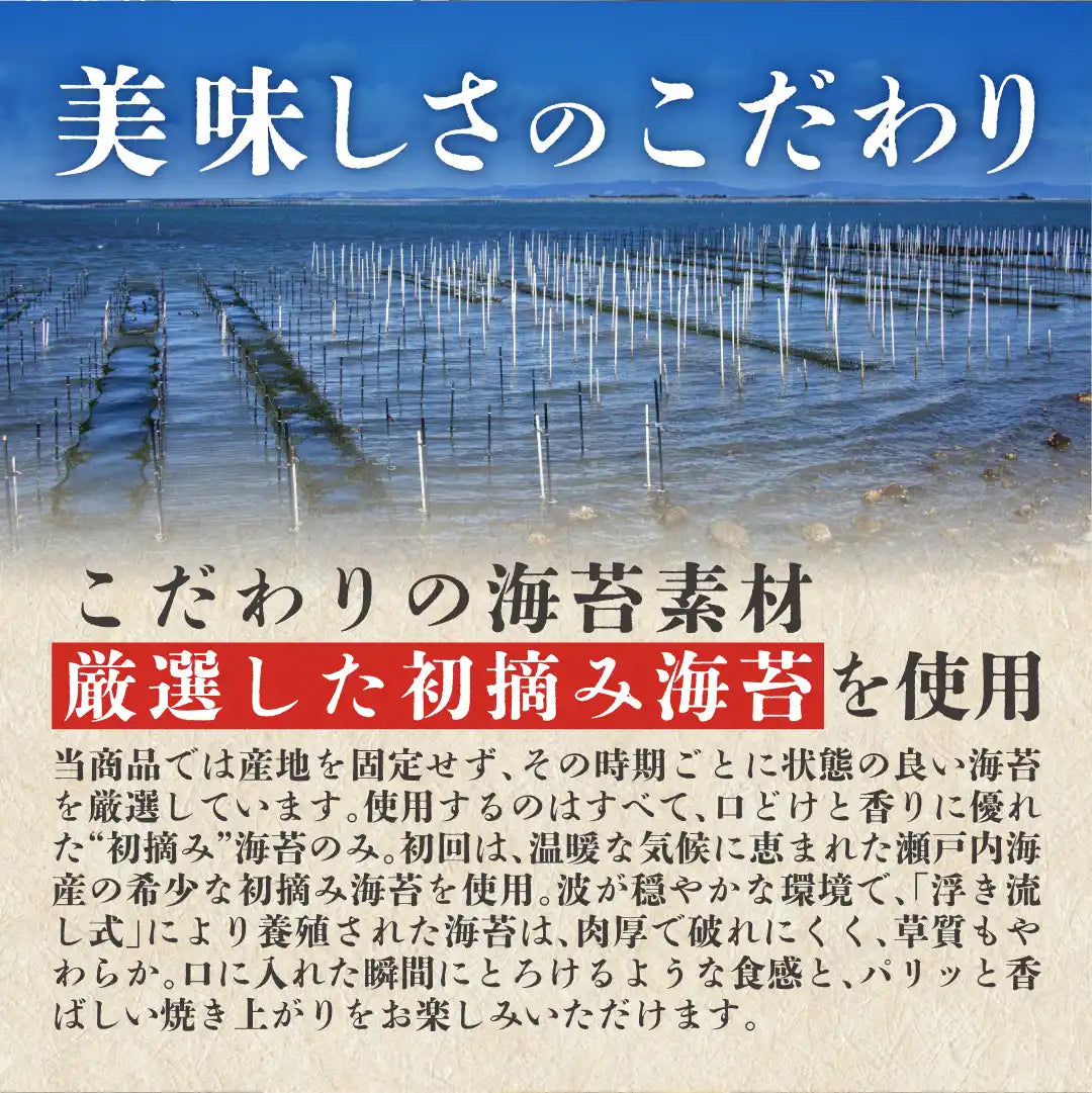 きまぐれない本気のり（出汁の地図使用）3個セット
