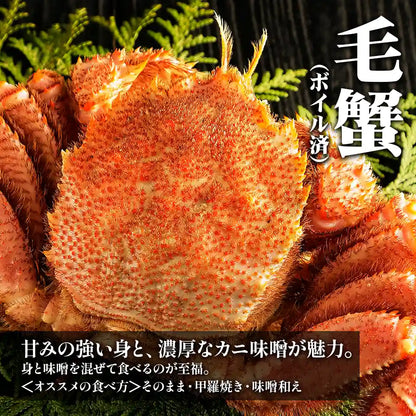 【北海道産】三大ガニ 食べ比べセット（タラバ・オオズワイ・毛蟹）