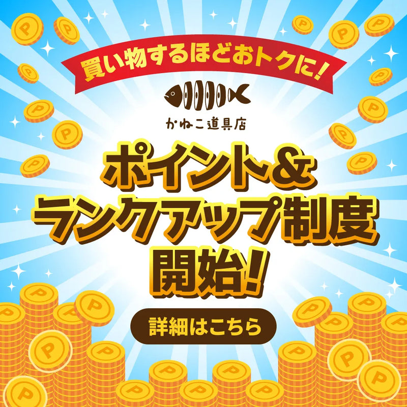 ポイント制度開始