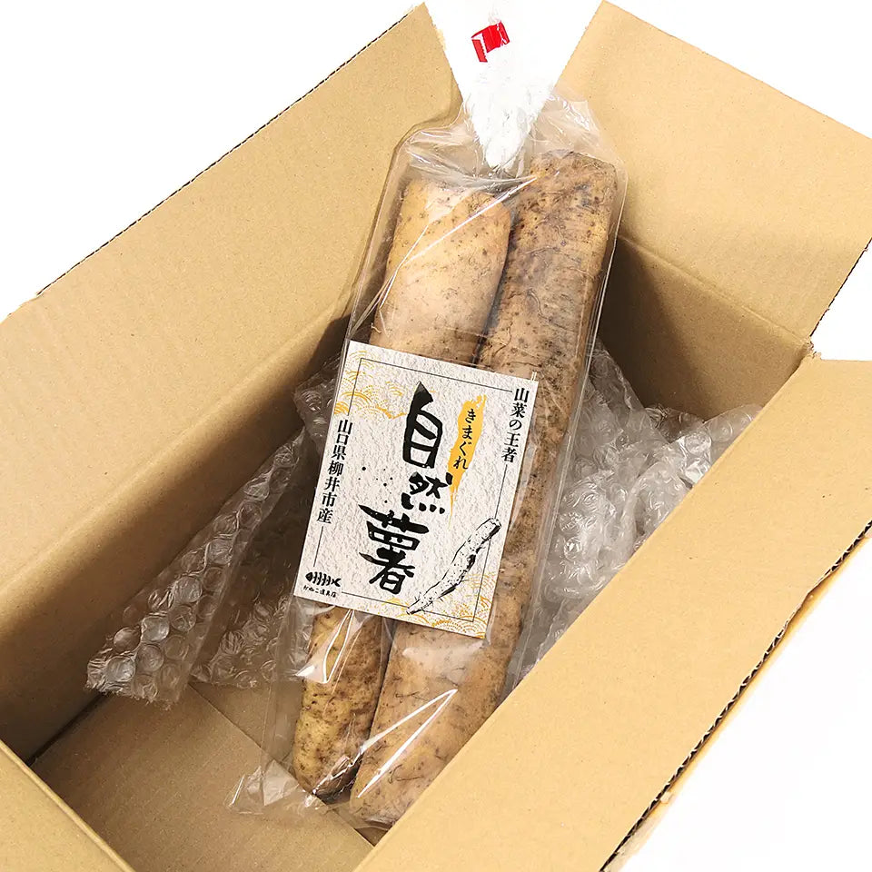 【山口県柳井市産】きまぐれ自然薯 約500g