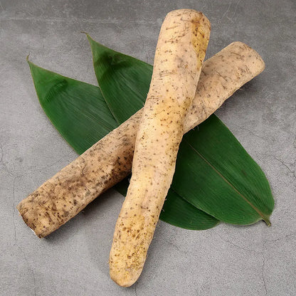 【山口県柳井市産】きまぐれ自然薯 約500g