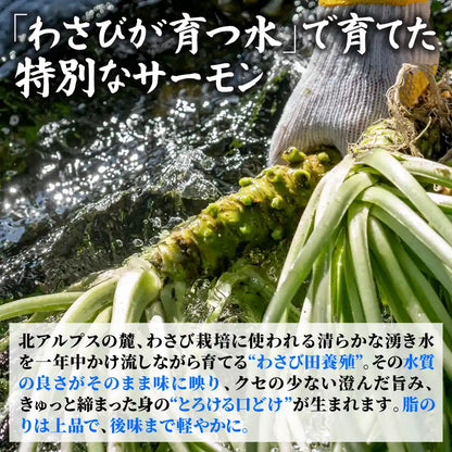 【安曇野産】雪解けわさび田サーモン 約400g