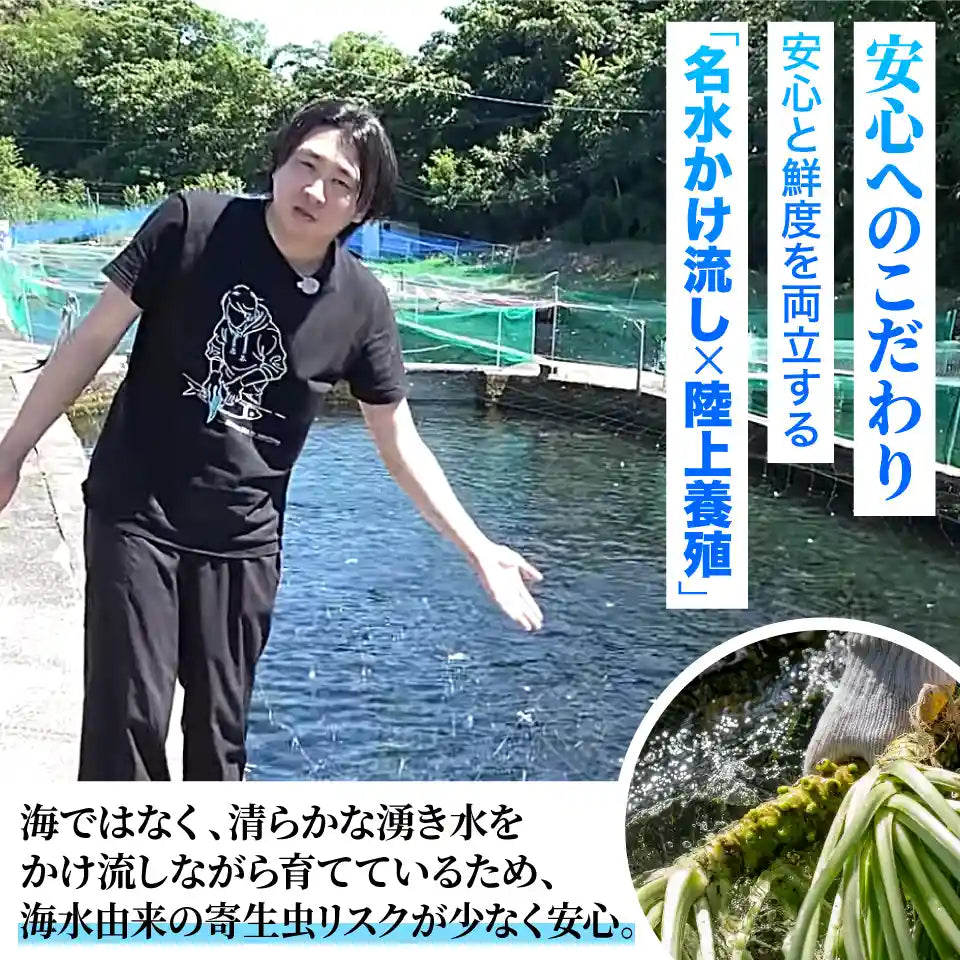 【安曇野産】雪解けわさび田サーモン 約400g