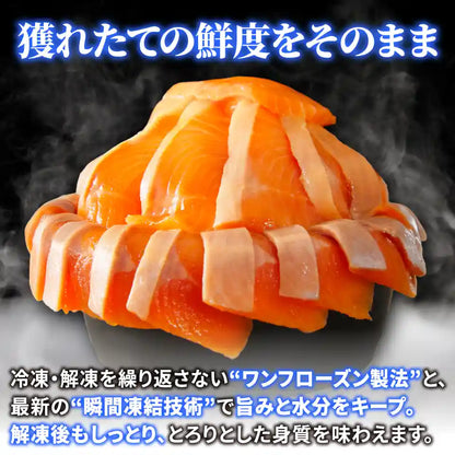 【安曇野産】雪解けわさび田サーモン 約400g