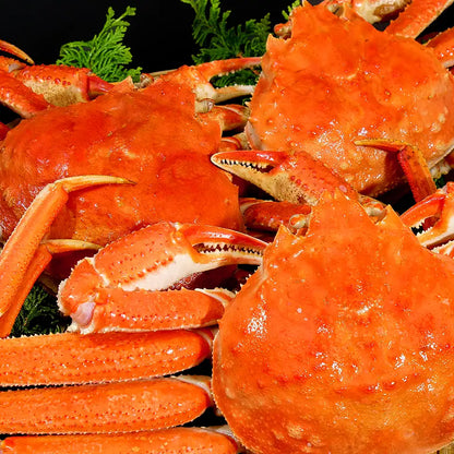 【北海道産】冷凍オオズワイガニ 1.5kg（3尾）
