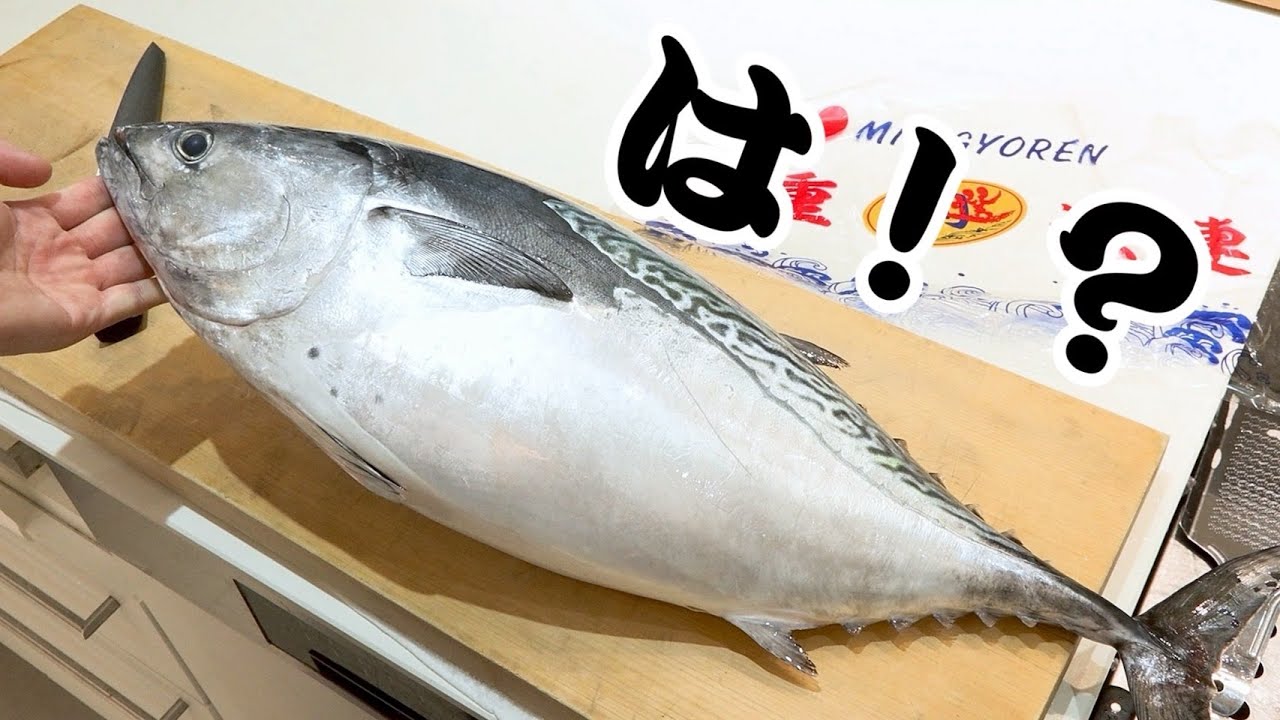 動画を読み込む: 