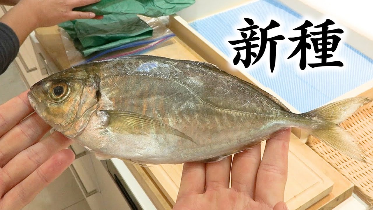 動画を読み込む: 